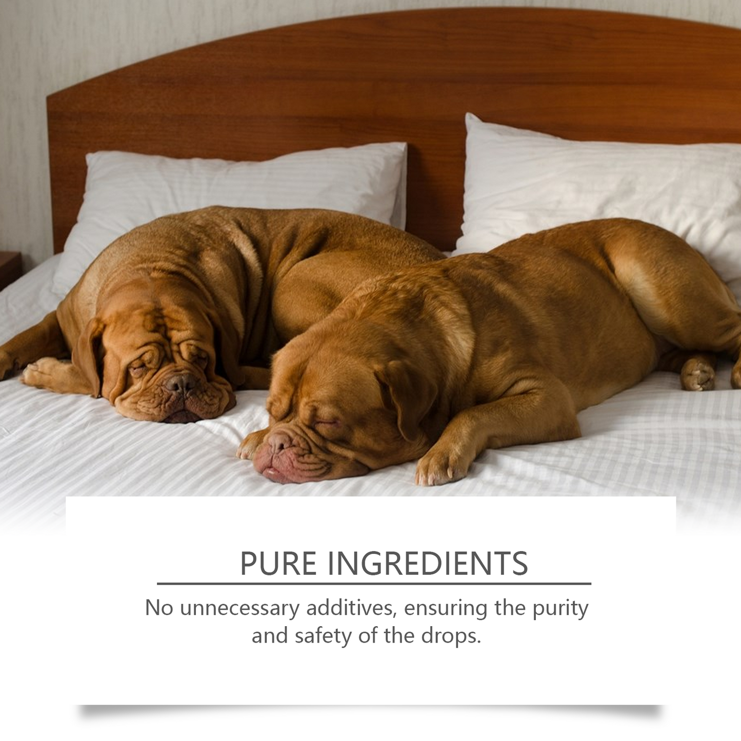 Dog Sleep Drops Pamper Dogs Sleeping At Night Pet Sleep Care Drops Supplement