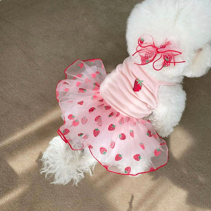 Cat Clothes Pet Yarn Skirt Teddy Pomeranian Bears VIP Yorkshire Schnauzer Small Dog Sheer
