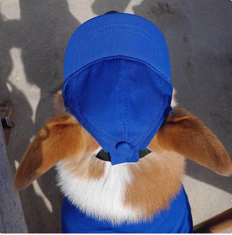 Pet Dog Outdoor Photography Leisure Sunshade Hat with Ear Holes Adjustable Corgi Baseball Cap
