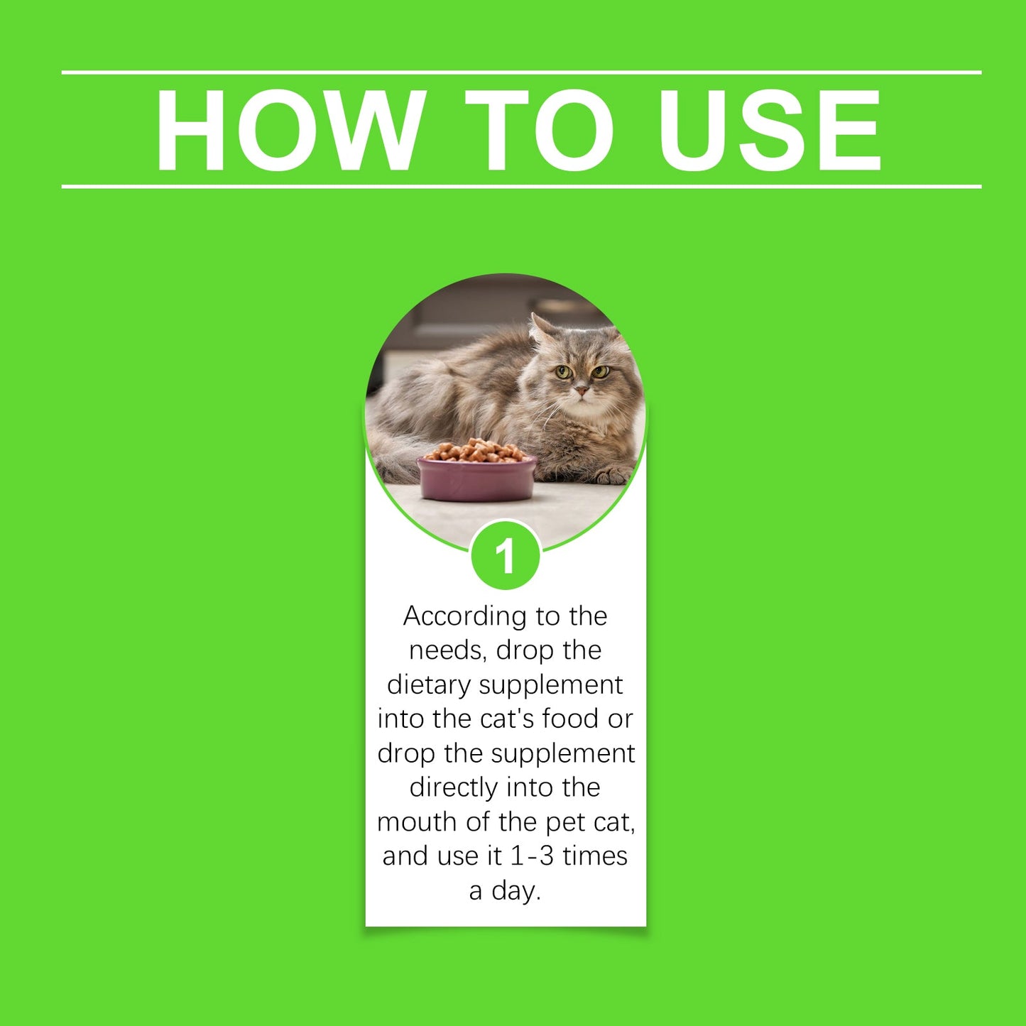 Cats With Probiotic Drops, Care For Cats Health And Vitality Care Absorb Nutritional Supplements