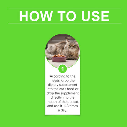 Cats With Probiotic Drops, Care For Cats Health And Vitality Care Absorb Nutritional Supplements