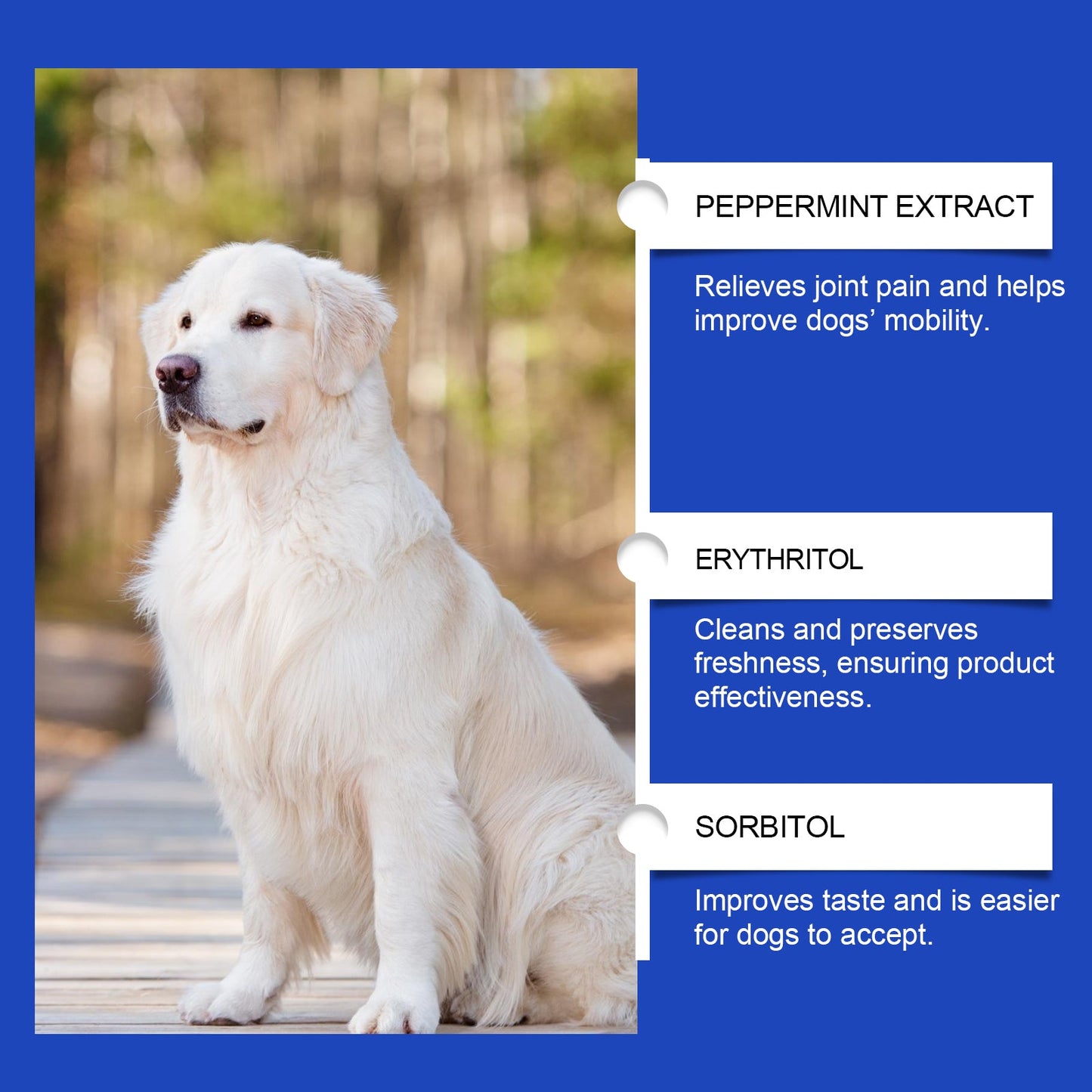 Pet Dog Joint Supplement To Enhance Nutrition Care Joint Health Pet Joint Care Agent