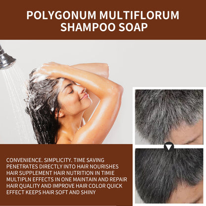 Polykum Multiflorum Repair Shampoo Natural Black Hair Moisturizing And Smoothing Shampoo