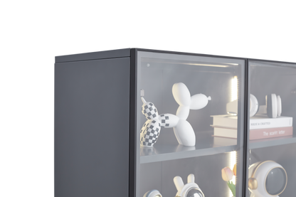 Display storage cabinet