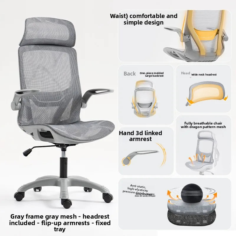 Multi-functional Ergonomic Chair Computer Conference Chair Chair Desk Learning Backrest Gaming Chair