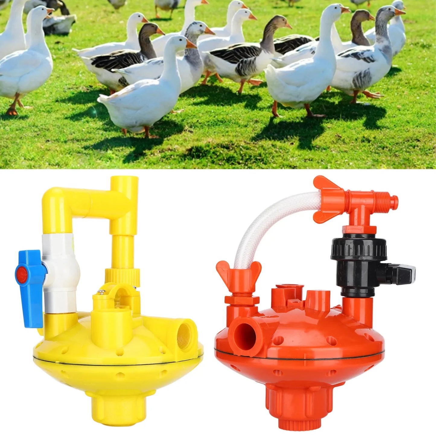 Farm Water Pressure Regulator Professional Water Pressure Regulator for Poultry Chicken Drinking Farm Water Equipment
