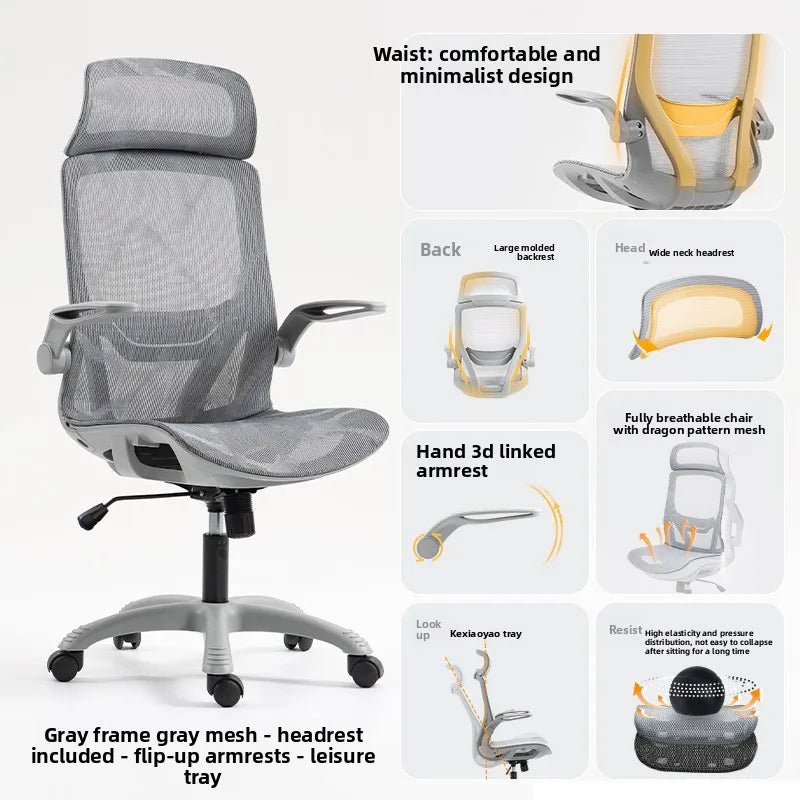 Multi-functional Ergonomic Chair Computer Conference Chair Chair Desk Learning Backrest Gaming Chair