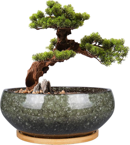 8 Inch Glazed Ceramic Bonsai Pot with Drainage Hole and Bamboo Saucer for Succulents, Indoor Plants