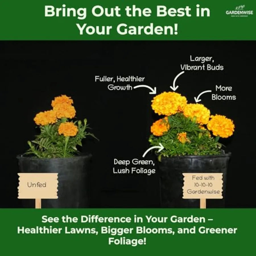 Slow Release - 10 10 10 All Purpose Granular Garden for Vegetables Tomato Arborvitae Shrubs Rose Flowers Fruit Fig Trees