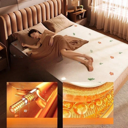 Graphene Electric Heated Blanket Dual Control Single Double Washable Home Dorm Energy Saving Fast Heating Auto Shutoff Cobertor