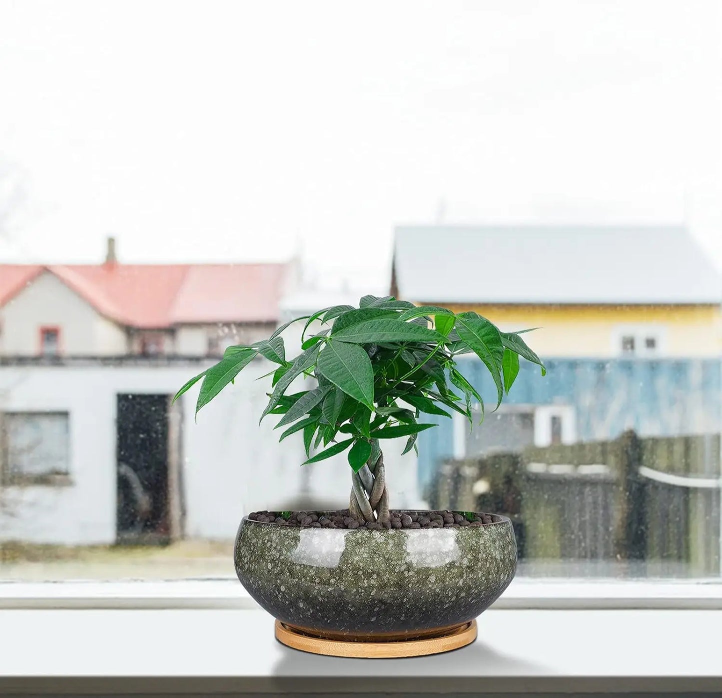 8 Inch Glazed Ceramic Bonsai Pot with Drainage Hole and Bamboo Saucer for Succulents, Indoor Plants