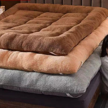 Winter padded lambswool mattress plus velvet dormitory home soft pad single and double warm pad quilt.