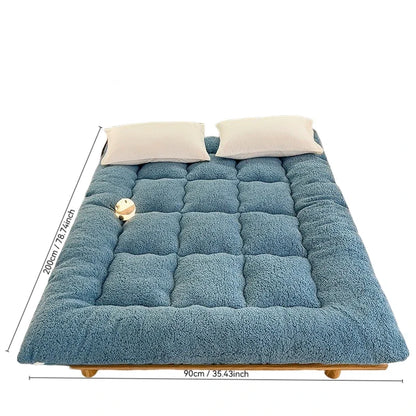 Winter padded lambswool mattress plus velvet dormitory home soft pad single and double warm pad quilt.
