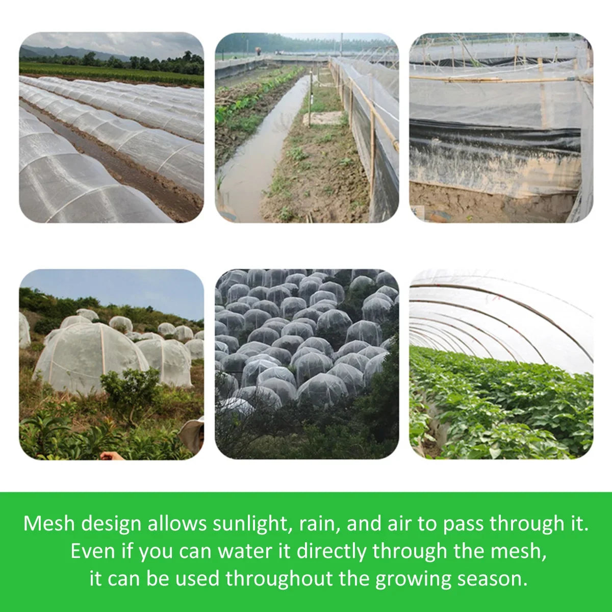 Garden Insect Protection Net Plant Vegetables Fruit Care Cover Flowers Greenhouse Pest Control Anti-Bird Protective Net 60 Meshs