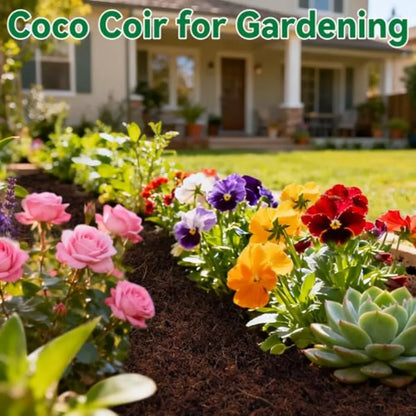 10 Pcs Compressed Coco Coir Brick for Plants Premium Organic Coconut Coir Bricks Coco Fiber Substrate Coco Coir Fiber Potting S