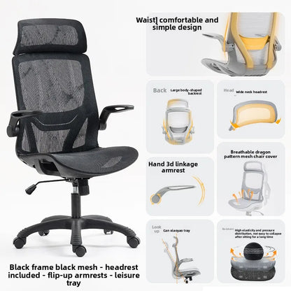 Multi-functional Ergonomic Chair Computer Conference Chair Chair Desk Learning Backrest Gaming Chair