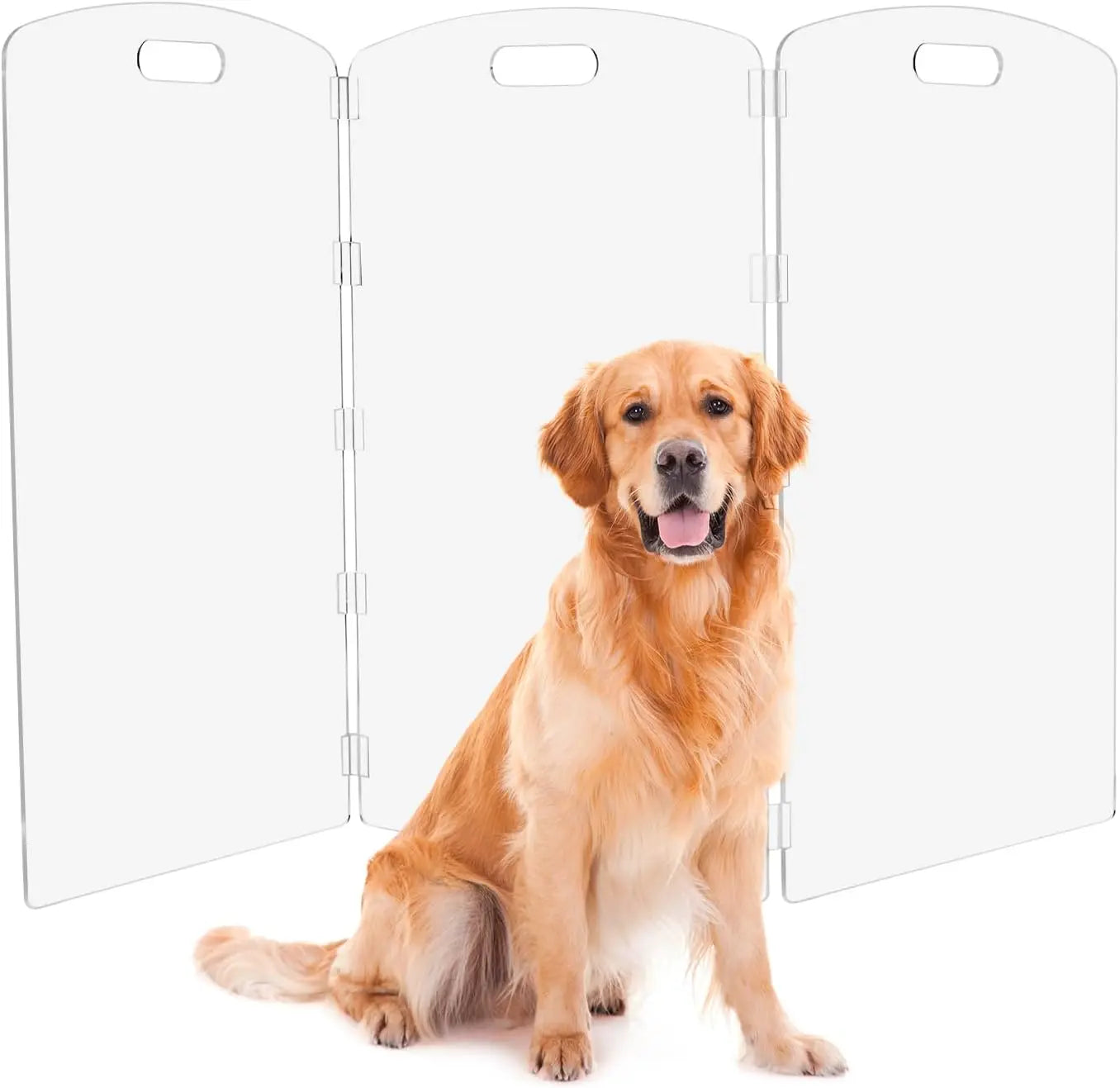 Clear Acrylic Pet Gate - 32" Tall Folding Barrier for Doorways & Stairs, Indoor Fence for Dogs & Cats