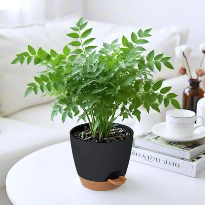 5-Pack Self-Watering Plant Pots with Drainage, 7/6.5/6/5.5/5 Inch, Indoor Outdoor Plastic Flower Pots for Succulents Herbs