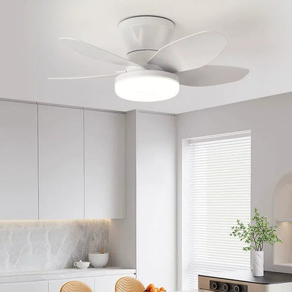 25 inch Ceiling Fans with Lights and Remote,Flush Mount Ceiling Fan,Reversible Quiet DC Motor Low Profile Ceiling Fans For Livin