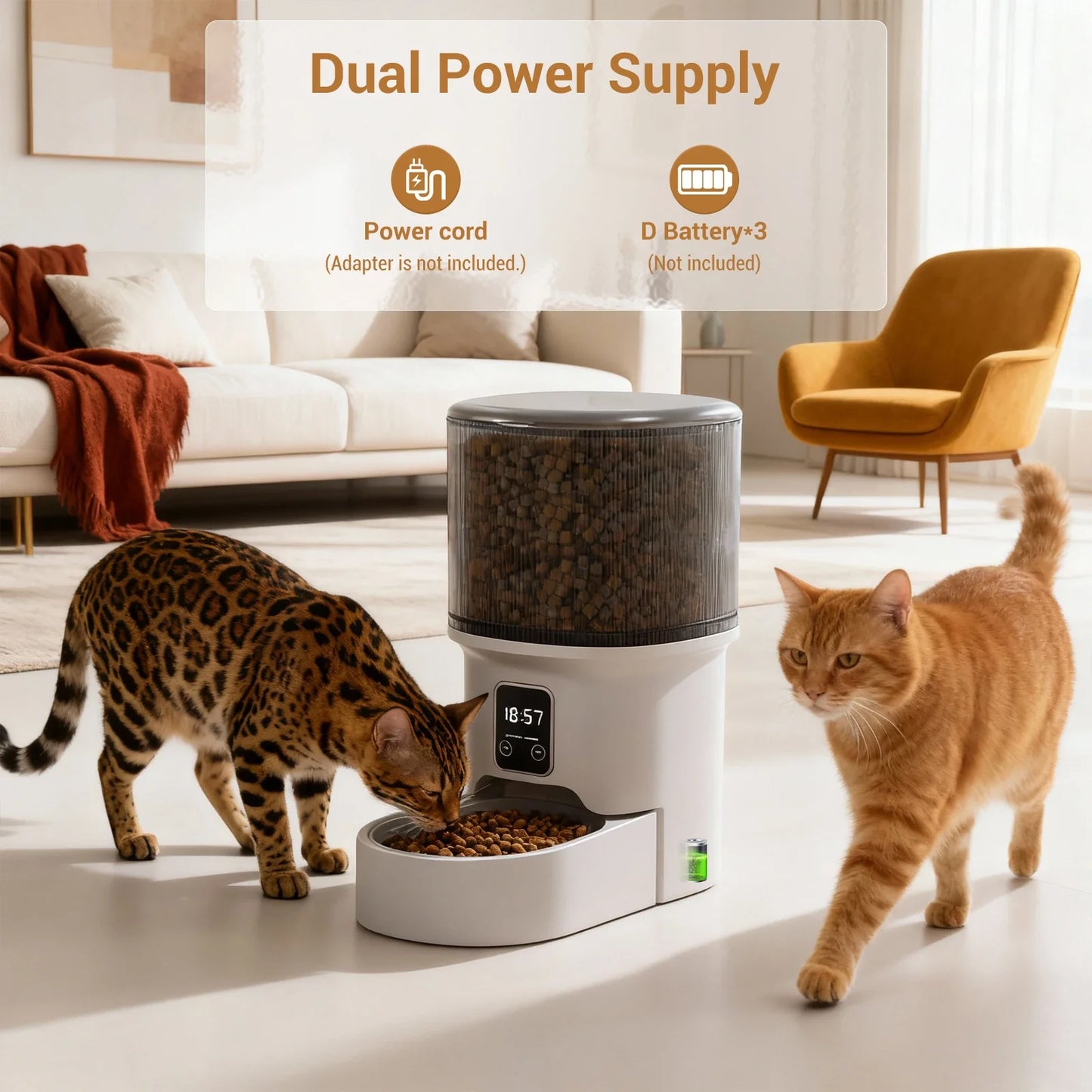 4L Automatic Cat Feeder with Timer Portion Control 1-6 Meals Per Day Button Control for Cats & Small Dogs Supplies