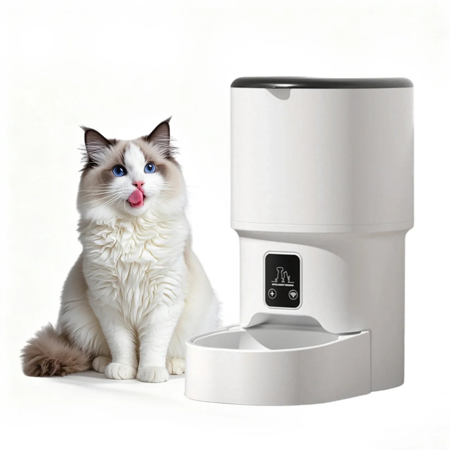 4L Automatic Cat Feeder with Timer Portion Control 1-6 Meals Per Day Button Control for Cats & Small Dogs Supplies