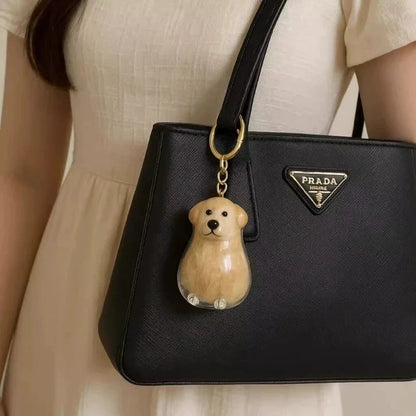 Transparent Storage Box Dog Hair Collection Pendant Golden Retriever Corgi Samoyed Labrador Hair Storage Keychain