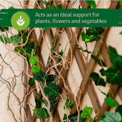 Expandable Plant Climbing Lattices Extensible Pine Fence Plant Support for Climbing Plants Expandable Plant Climbing Lattices