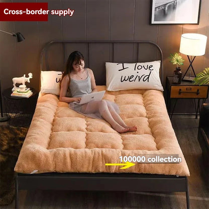 Winter padded lambswool mattress plus velvet dormitory home soft pad single and double warm pad quilt.