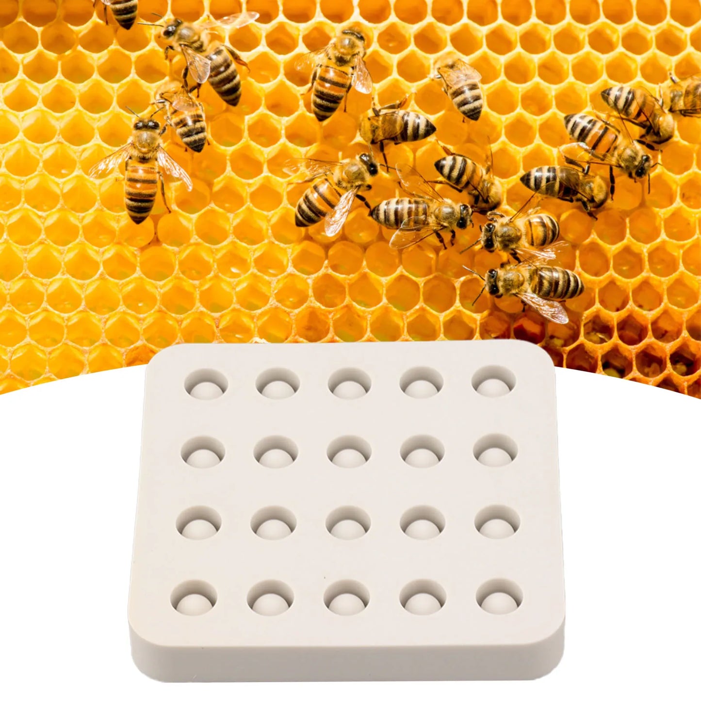 Beekeeping Tool Queen Cell Cups Making Mold Wax Queen Grafting Cups Silicone Mold Beekeeping Beeswax Queen Cell Cups Making Mold