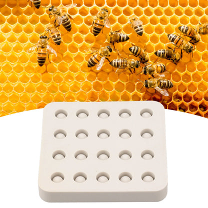 Beekeeping Tool Queen Cell Cups Making Mold Wax Queen Grafting Cups Silicone Mold Beekeeping Beeswax Queen Cell Cups Making Mold
