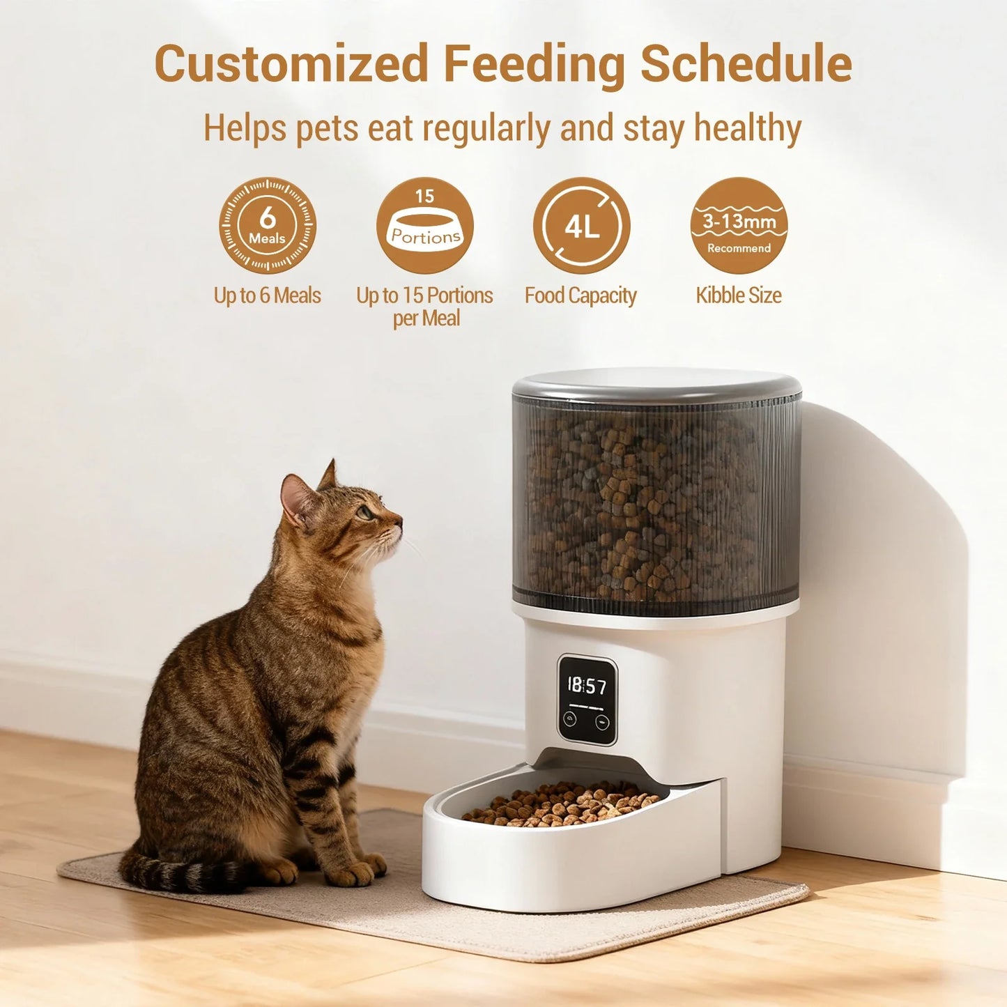 4L Automatic Cat Feeder with Timer Portion Control 1-6 Meals Per Day Button Control for Cats & Small Dogs Supplies
