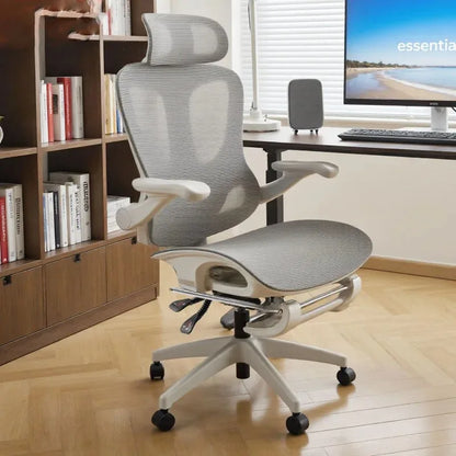 Ergonomic Chair Office Chair Adjustable Backrest Gaming  Computer Home Rotatable Sedentary Not Tired Silla Gamer Office Furnitur