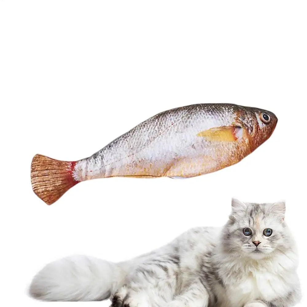 Floppy Fish PlayMate