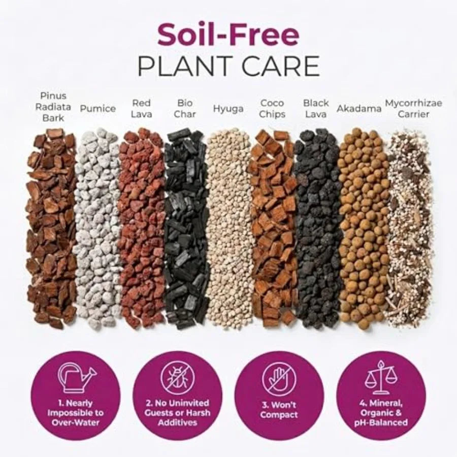 Molly's Orchid Potting Mix - Premium Gritty Soilless Orchid Mix - Chunky High Drainage vs Standard Potting Soil for Indoor Plan