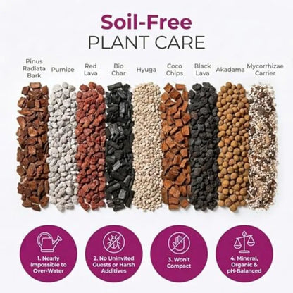 Molly's Orchid Potting Mix - Premium Gritty Soilless Orchid Mix - Chunky High Drainage vs Standard Potting Soil for Indoor Plan