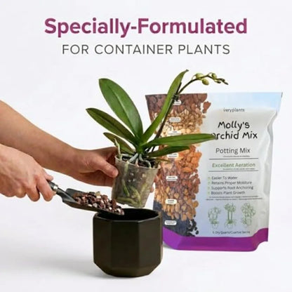 Molly's Orchid Potting Mix - Premium Gritty Soilless Orchid Mix - Chunky High Drainage vs Standard Potting Soil for Indoor Plan