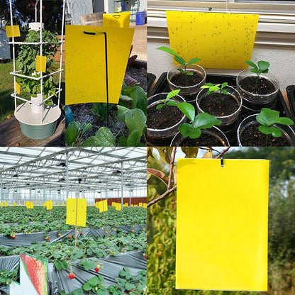 20-200PCS Fly Stickers Outdoor Plant Insect Catcher Fly Trap Double Sided Sticky Traps for Bugs Mosquito Trap Sticky Board
