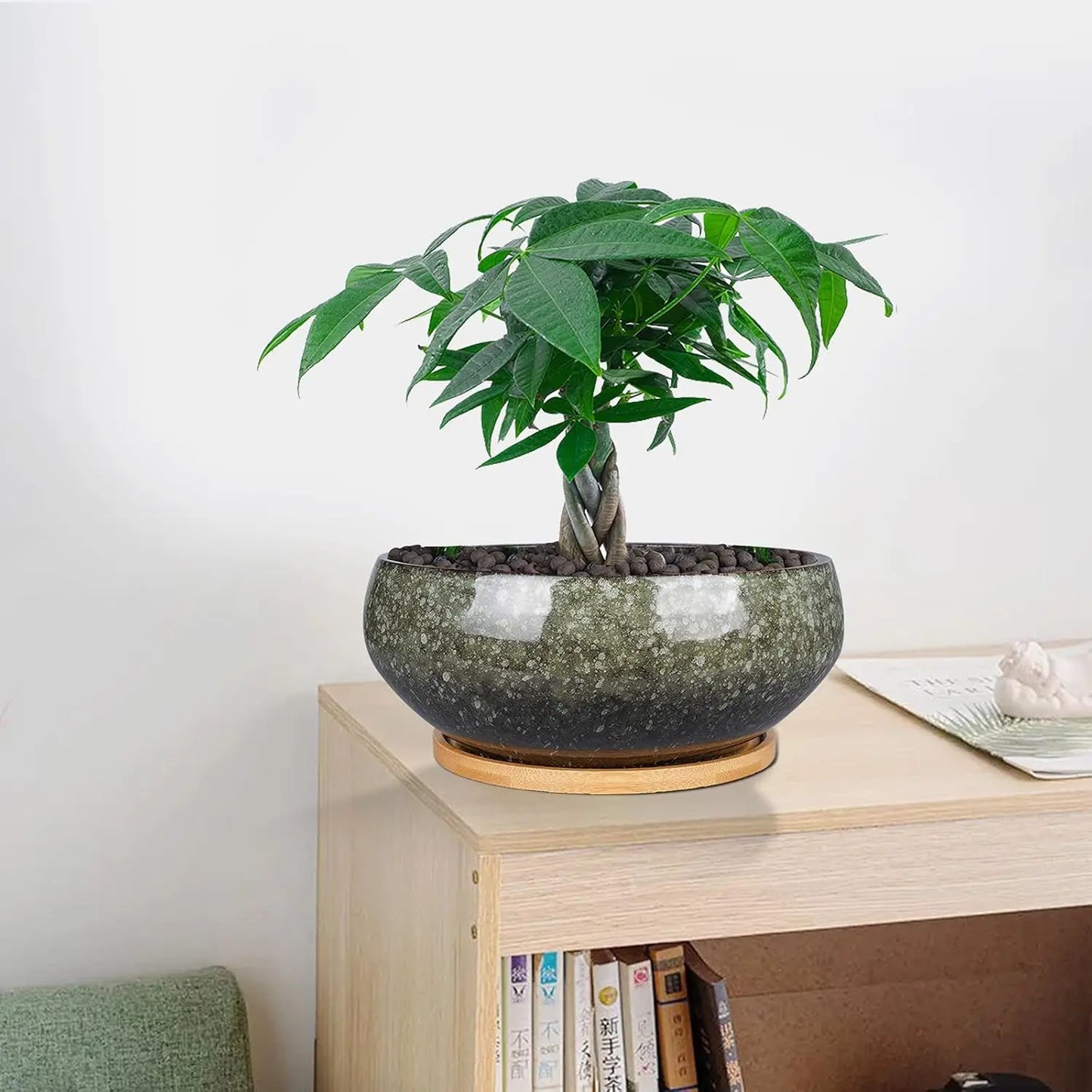 8 Inch Glazed Ceramic Bonsai Pot with Drainage Hole and Bamboo Saucer for Succulents, Indoor Plants