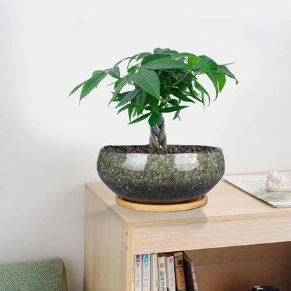 8 Inch Glazed Ceramic Bonsai Pot with Drainage Hole and Bamboo Saucer for Succulents, Indoor Plants