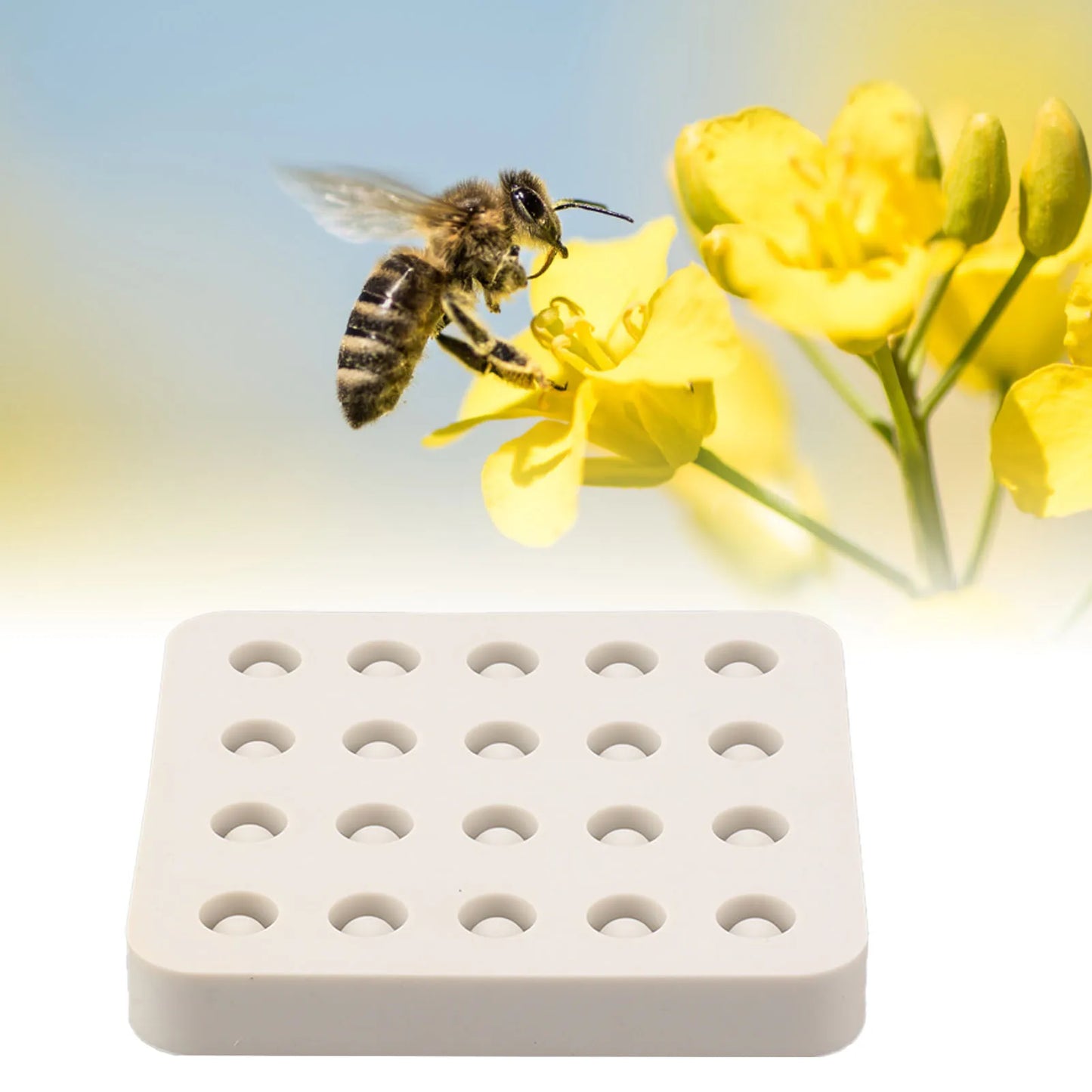 Beekeeping Tool Queen Cell Cups Making Mold Wax Queen Grafting Cups Silicone Mold Beekeeping Beeswax Queen Cell Cups Making Mold