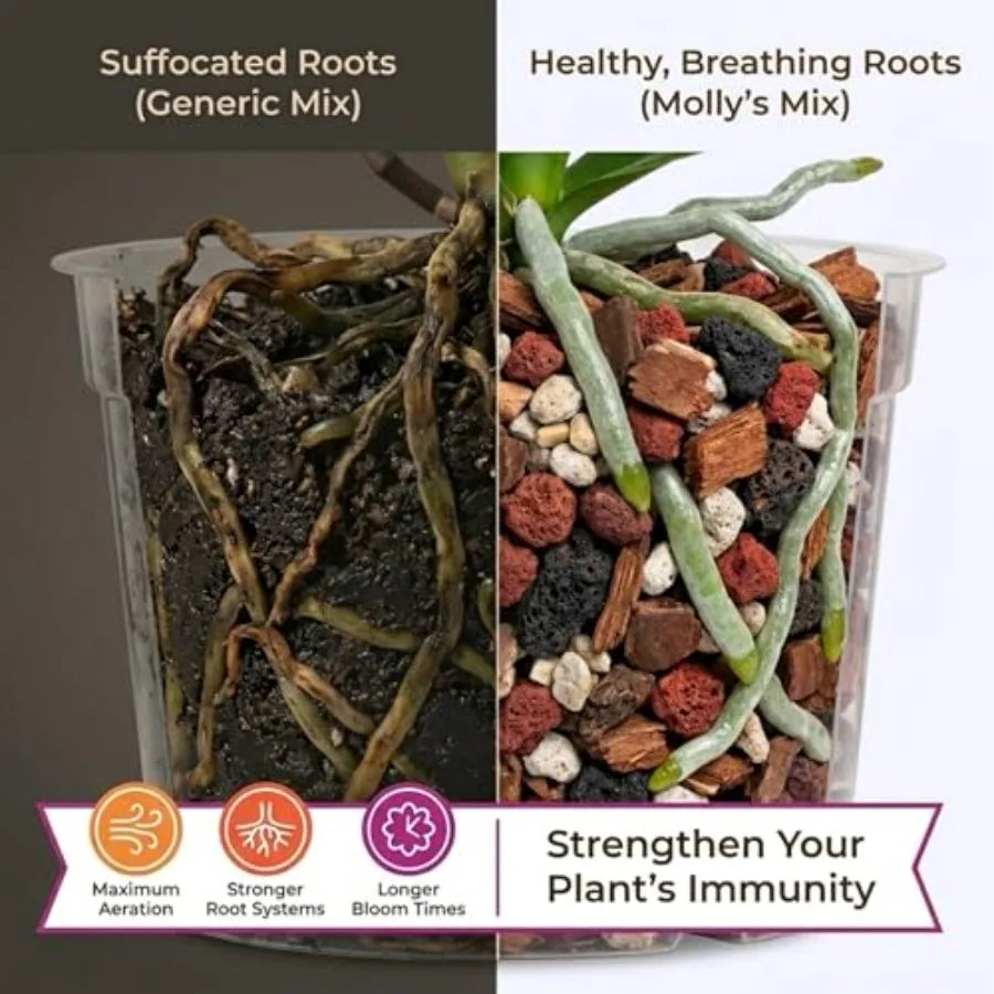 Molly's Orchid Potting Mix - Premium Gritty Soilless Orchid Mix - Chunky High Drainage vs Standard Potting Soil for Indoor Plan