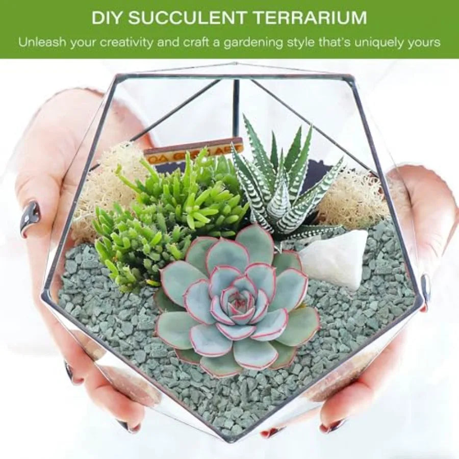Zeolite for Plants/8" Natural Succulent Potting Soil Amendments Decorative Gravel for Cactus Bonsai Gritty Rock Pebbles Pumice