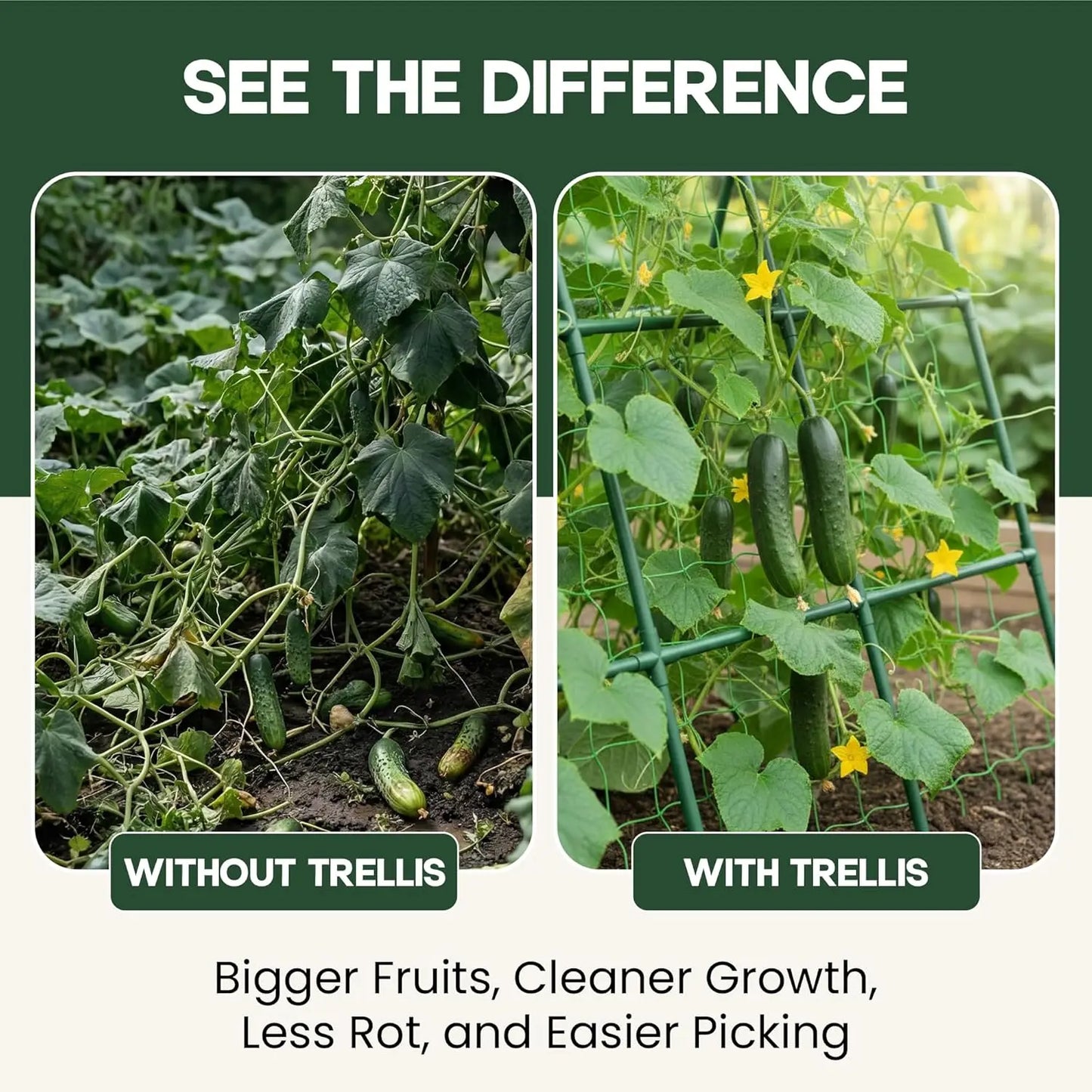 50x50 A-Frame Garden Trellis for Climbing Plants - Easy Assembly, Durable Steel, Fits Raised Beds