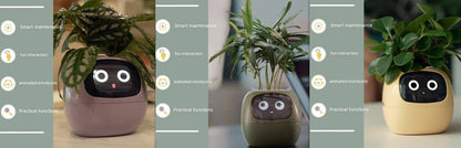 Smart AI Planter with Expressions and Sensors