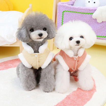 Pet Dog Clothes Small Dog Butterfly Cotton-padded Dress
