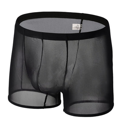 Men's Lace Mesh Boxer Briefs Summer Thin