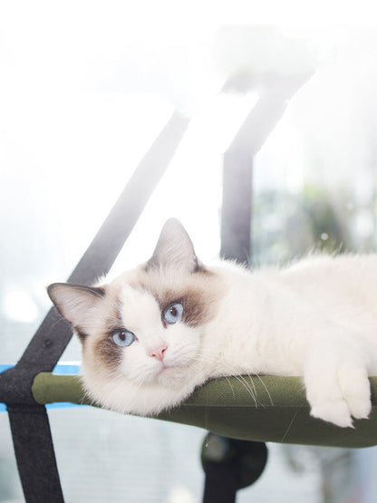 Window cat hammock with suction cup, foldable bed