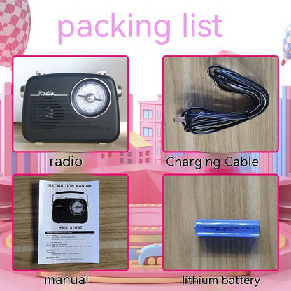 Speaker Signal Strong Stereo Portable Radio