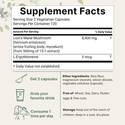 Lion Mane Capsule Refined Sulfur Phosphorus