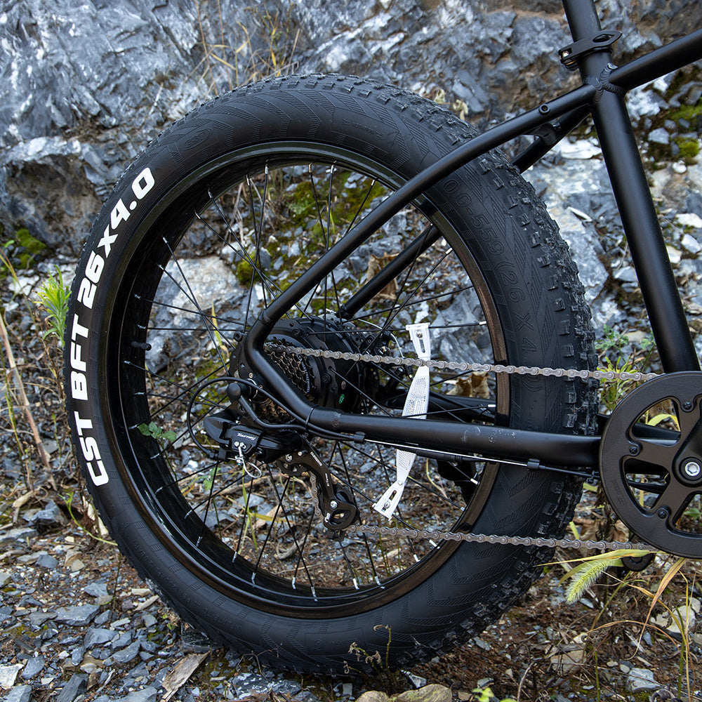 1000W Fat Tire Electric Bike for Adults - 26x4.0 Mountain E-Bike